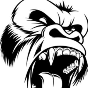 Meet your Posher, Saheem